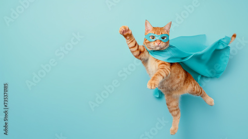 Gato engraçado em fantasia de super-herói voando sobre fundo azul.  © Vitor
