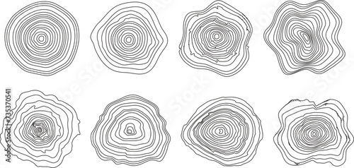 Background of abstract growth rings of a tree.Line design of a wooden stump.Tree cut pattern.Vector topographic map concept. 