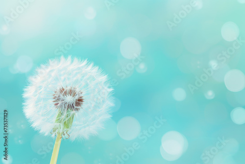 Dreamy Dandelion  Whimsical Illustration on Bokeh Background