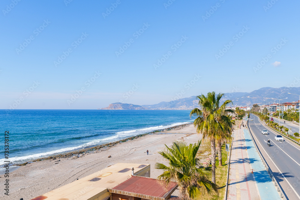 Tall Palm Tree with a Clear Splashing Sea Waves and Sandy Beach Under the Blue Sky in a Sunny Summer Day Tall Palm Tree with a Clear Splashing Sea Waves and Sandy Beach Under the Blue Sky in a Sunny Summer Day