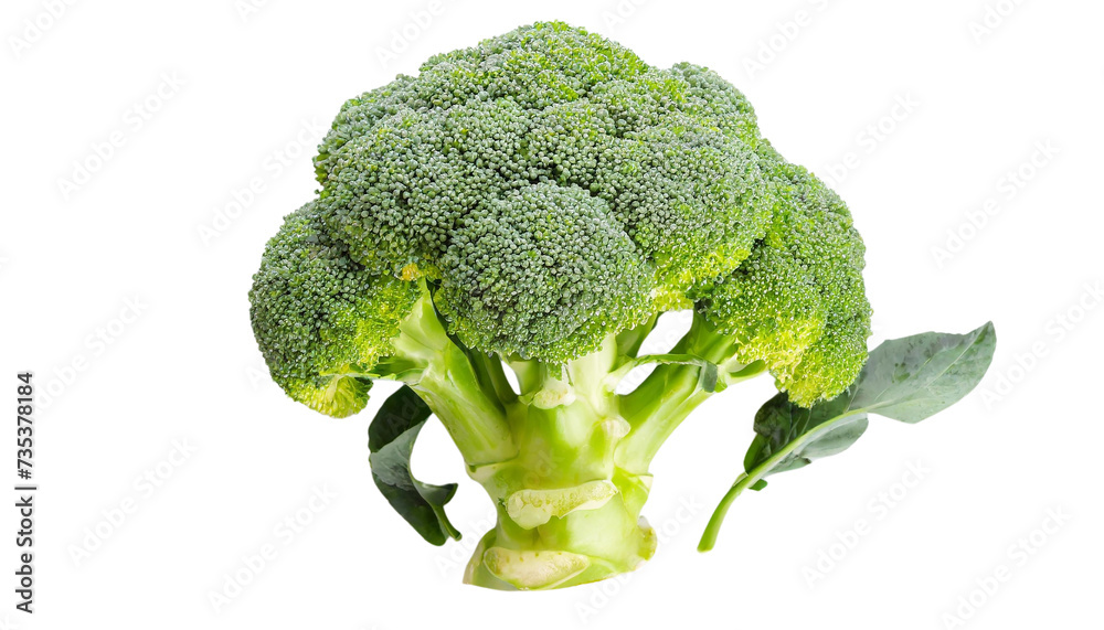 Broccoli isolated on a transparent background. Broccoli isolated on a transparent background.