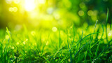 Green grass and sunlight banner background. Spring and summer themes