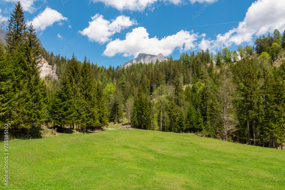 Lush green alpine meadow and forest with panoramic view of majestic mountain peak Foelzstein and Foelzkogel in Hochschwab massif, Styria, Austria, Scenic hiking trail in remote Austrian Alps in summer
