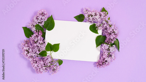 Natural twigs and flowers of lilacs around a rectangular white piece of paper. Сoming of spring. Lilac background.