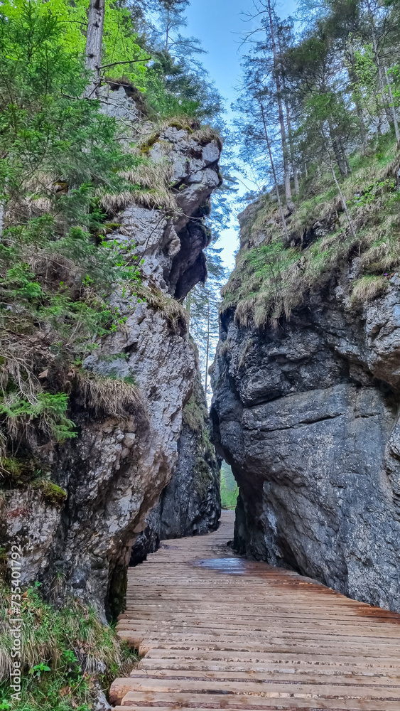 Wooden bridge through Foelzklamm along scenic hiking trail to Foelzkogel in idyllic Hochschwab mountain region, Styria, Austria. Majestic gorge in remote Austrian Alps. Wanderlust in alpine summer Wooden bridge through Foelzklamm along scenic hiking trail to Foelzkogel in idyllic Hochschwab mountain region, Styria, Austria. Majestic gorge in remote Austrian Alps. Wanderlust in alpine summer