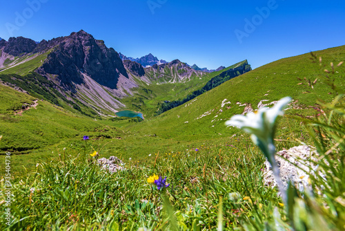 Allgäu - Tannheimer Tal - Edelweiß - Bergsee - Panorama - Alpen - Sommer