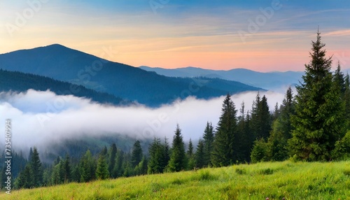 morning light on carpathian green mountain hills with a cloud of white fog over spruce forest