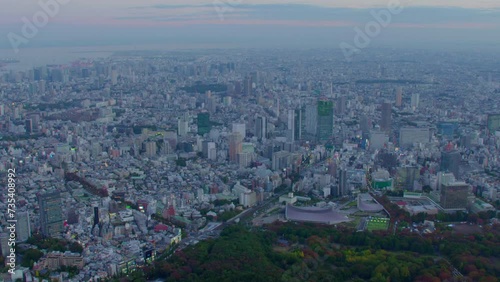 Tokyo aerial evening