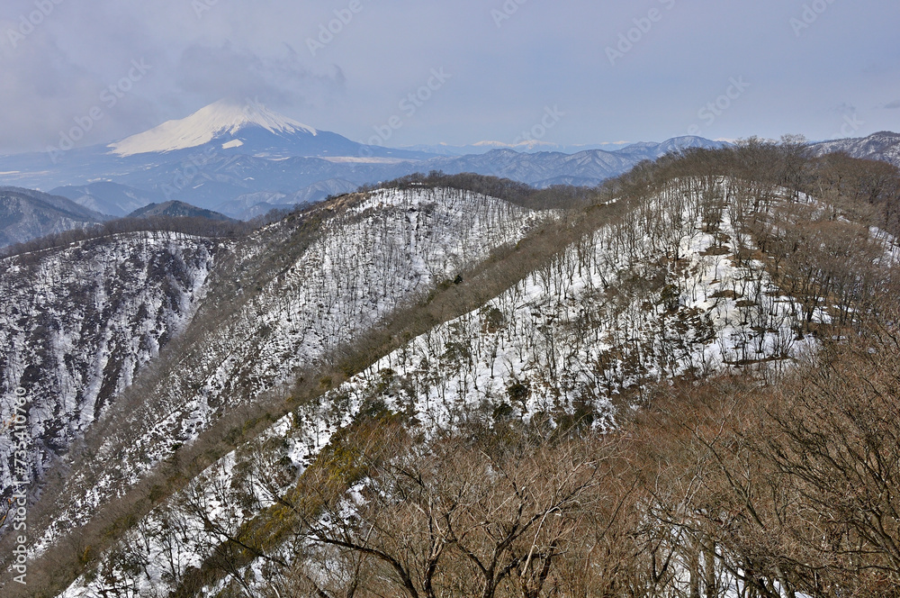 Φωτογραφία 雪の丹沢山地　鍋割山稜の小丸より望む富士山と鍋割山