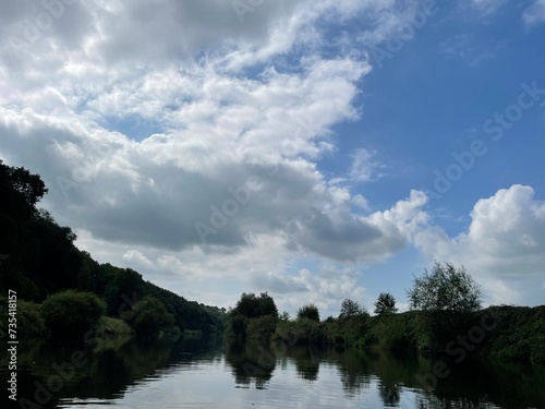 River surrounded by trees
