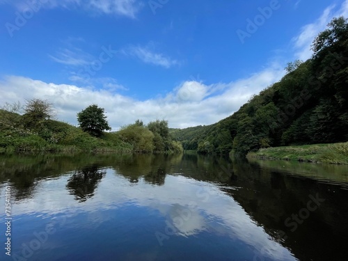 River in the greenery