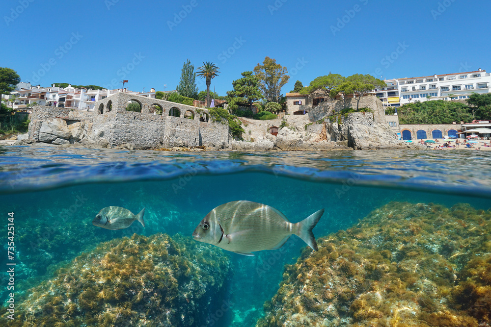 Spain Mediterranean sea, waterfront in the town of Calella de Palafrugell with fish underwater, split view half over and under water surface, natural scene, Costa Brava, Catalonia - obrazy, fototapety, plakaty 