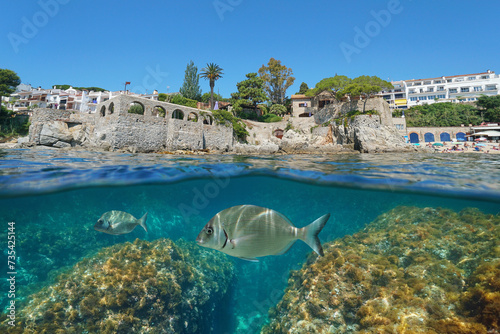 Spain Mediterranean sea, waterfront in the town of Calella de Palafrugell with fish underwater, split view half over and under water surface, natural scene, Costa Brava, Catalonia photo