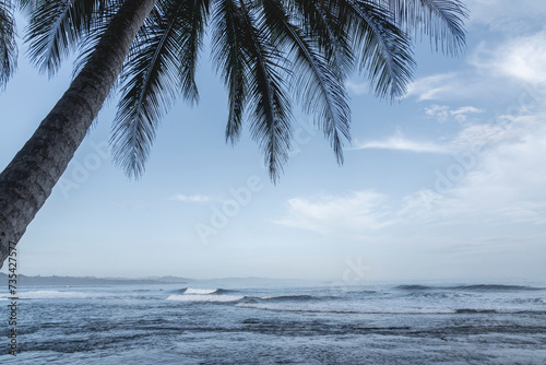Fototapeta Naklejka Na Ścianę i Meble -  Beautiful palm tree silhouettes with a ocean view background and beautiful waves