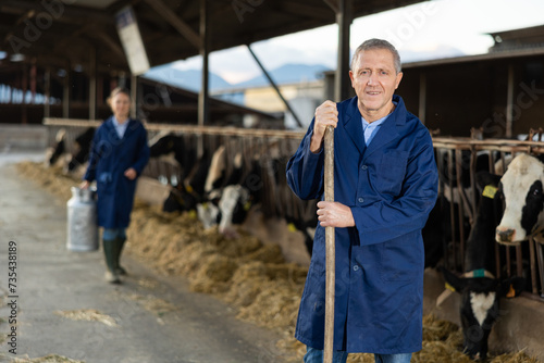 Portrait of cheerful middle-aged man dairy farm worker with working tool in cowhouse.