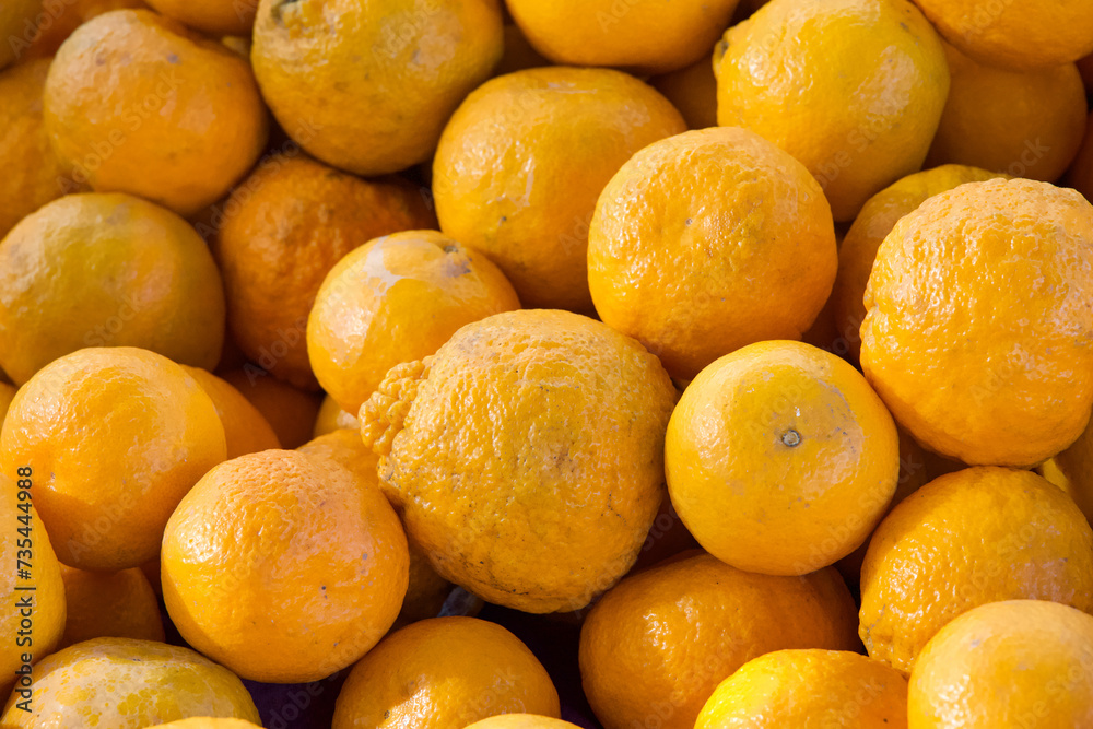 Super sweet Sumo Mandarin Oranges, a cross breed between a satsuma and