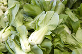 Close up on pile of freshly picked Bok Choy on display for sale at Farmer's Market