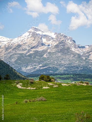 Moutain and meadow scenery in the Southern Alps