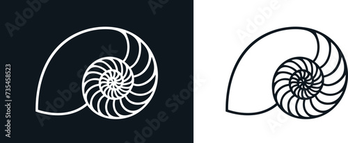 Nautilus shell. Isolated nautilus on white background