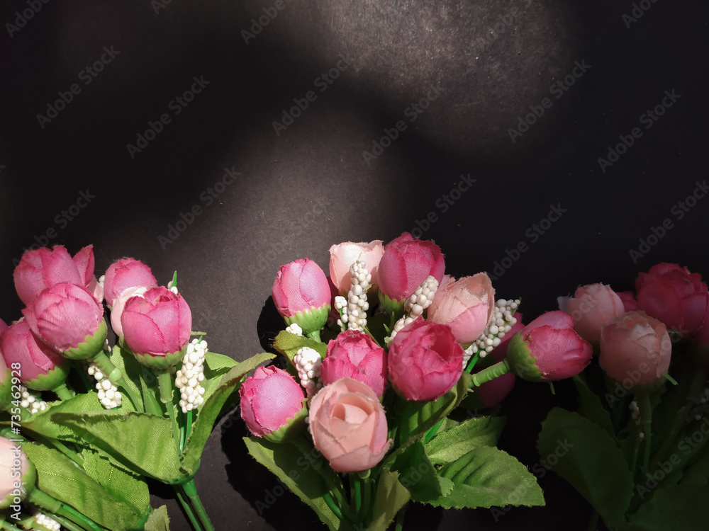 pink roses on black background pink roses on black background