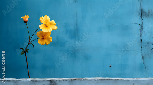 Modern, luxury apartment building. Pro Photo,, Yellow flowers in a blue background on the wall