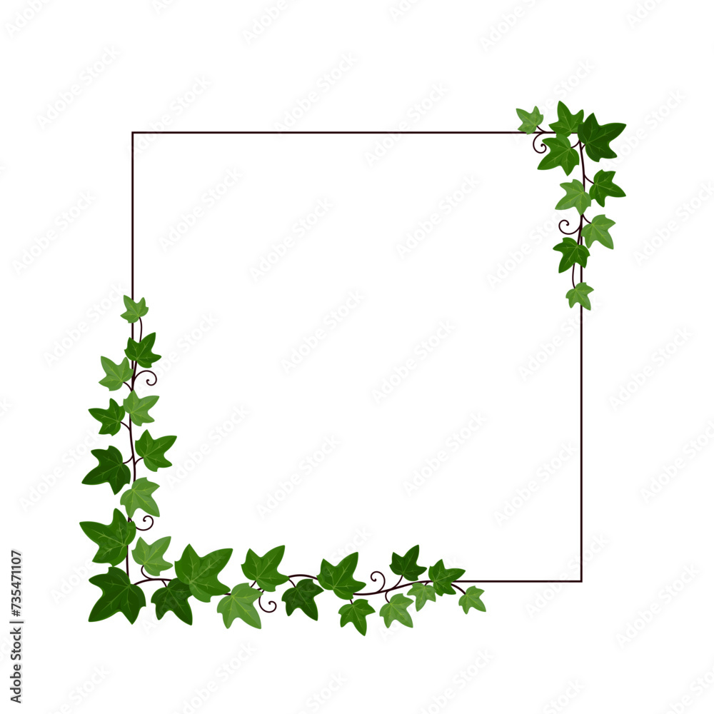 Vecteur Stock Quadratische Karte mit Efeuranken auf einem Rahmen ...