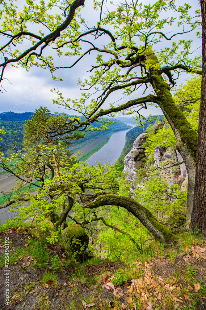 Bastei - Swiss Saxony - Germany