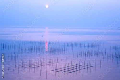 有明海の海苔棚が映える朝の風景