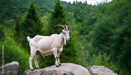 A formidable Goat standing on a rock surrounded by trees and vegetation. Splendid nature concept.