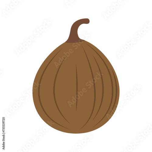 nutmeg icon vector