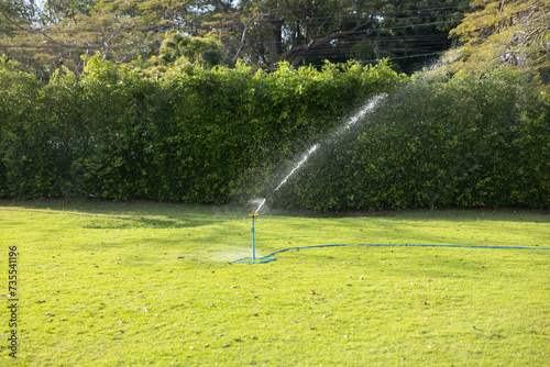 lawn sprinkler spraying water. the sprinkler of automatic watering for the green grass of the garden.