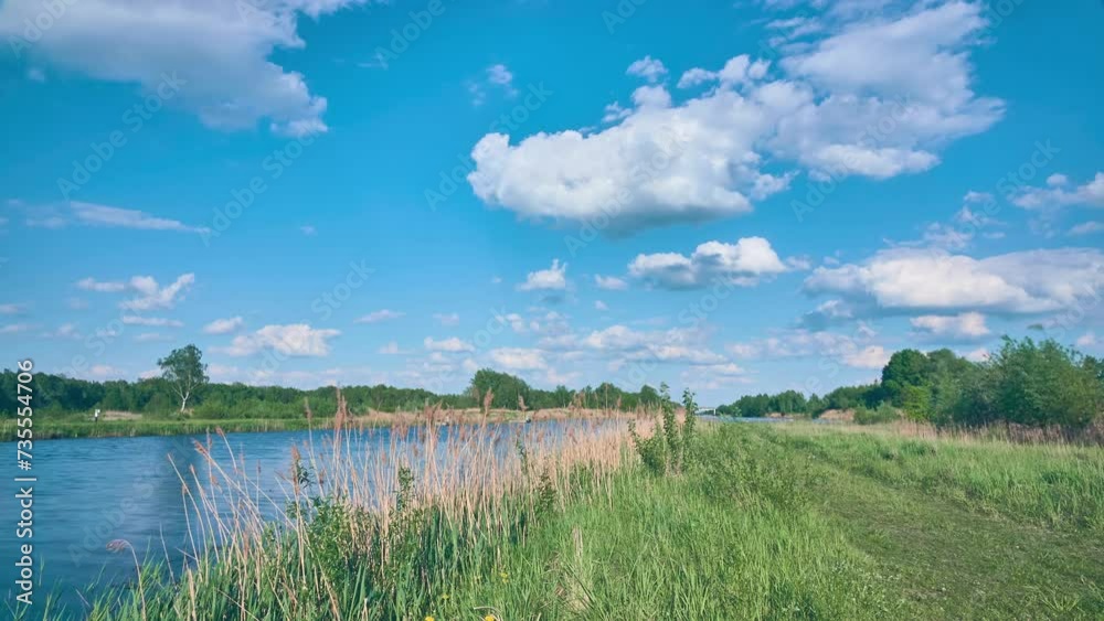 Picturesque summer nature. White clouds float across the sky. Wide, calm river. The banks are overgrown with reeds and grass. Picturesque summer nature. White clouds float across the sky. Wide, calm river. The banks are overgrown with reeds and grass.
