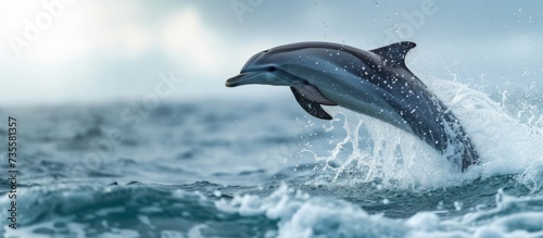 Majestic dolphin leaping gracefully out of the sparkling ocean water with energy and freedom