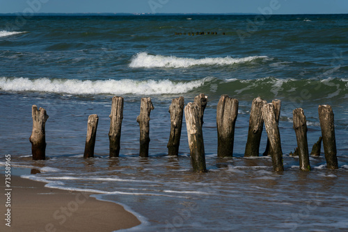 Fototapeta Naklejka Na Ścianę i Meble -  View of the Baltic Sea and wooden breakwaters on the Curonian Spit beach on a sunny summer day, Kaliningrad region, Russia