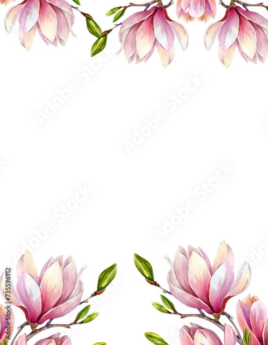  Watercolor floral illustration with blooming pink magnolia flowers and branches isolated on white background 