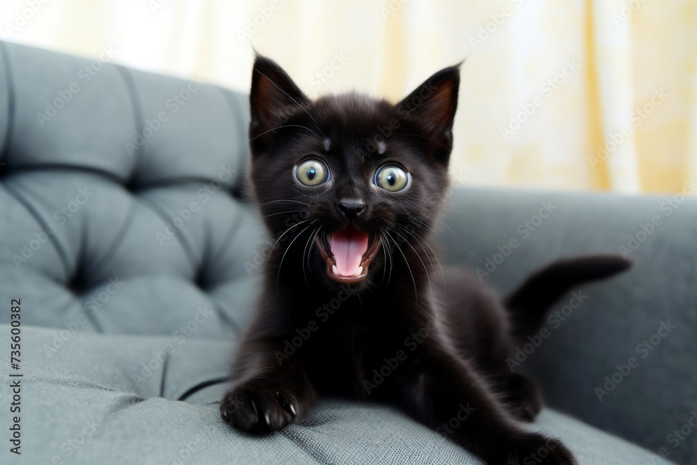 a surprised cat with a questioning pose on sofa. Generated AI