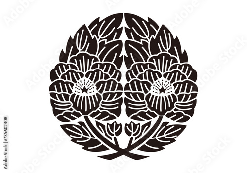 変わり枝違い牡丹