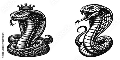 Set of king cobra, snake black silhouette, tribal tattoo design, vector illustration.