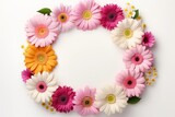 Round frame colourful gerbera daisy assorted flowers on white border background. Valentine's day-mother's day. greeting card. presentation. advertisement. copy text space.