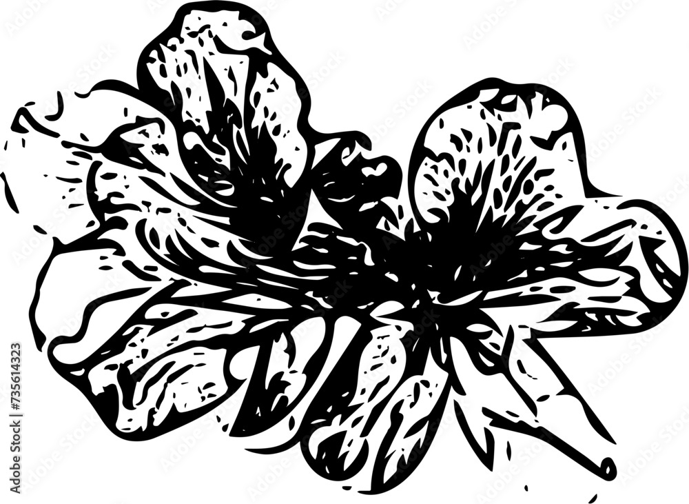 Fototapeta premium Black and White Sketch of Twin Hibiscus Flowers