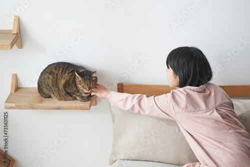 ねこすてっぷに座る猫と女性 photo