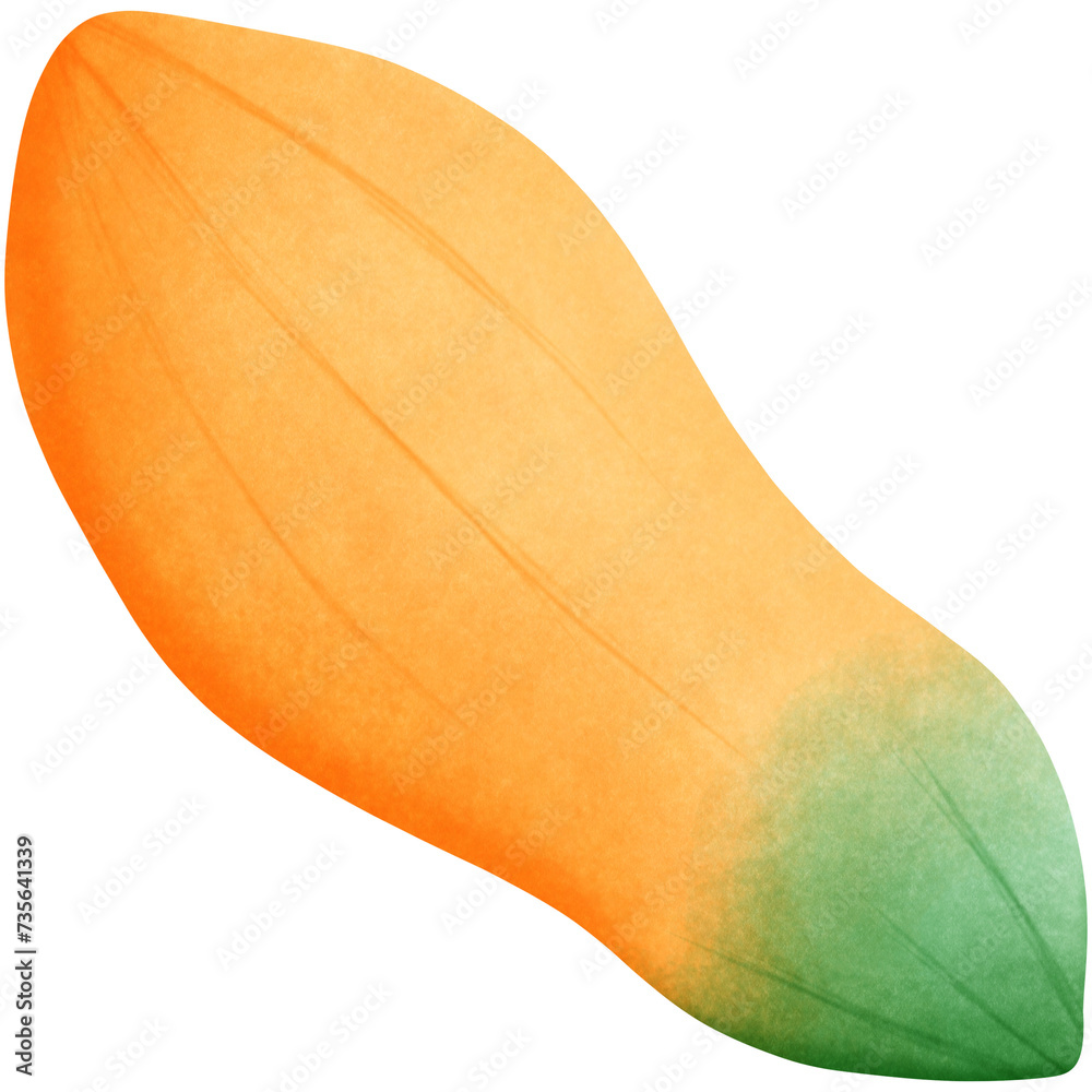 Papaya fruit isolated on transparent background Papaya fruit isolated on transparent background