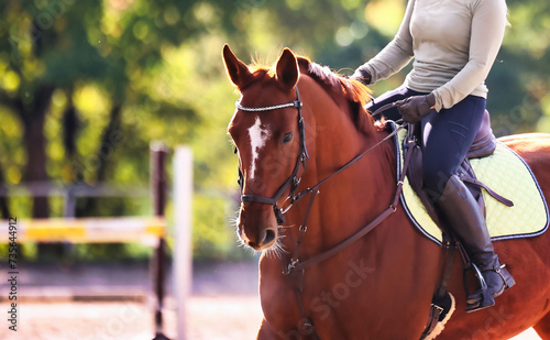 Obraz na plátně Horse woman rider riding in the sunshine at the riding arena.
