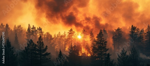 Devastating forest fire burning uncontrollably through thick woodland destroying trees and wildlife habitat © AkuAku