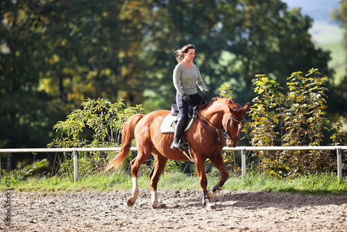 Horse woman rider riding in the sunshine at the riding arena. © RD-Fotografie