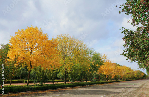 In the city park, the vibrant and multicolored foliage of autumn trees brightens up the surroundings.