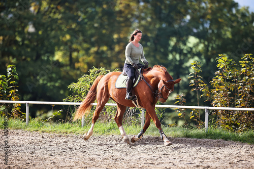 Fotografie Horse woman rider riding in the sunshine at the riding arena.