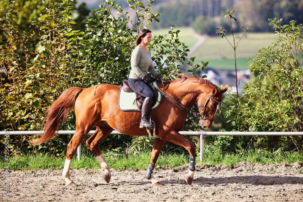 Obraz premium Horse woman rider riding in the sunshine at the riding arena.