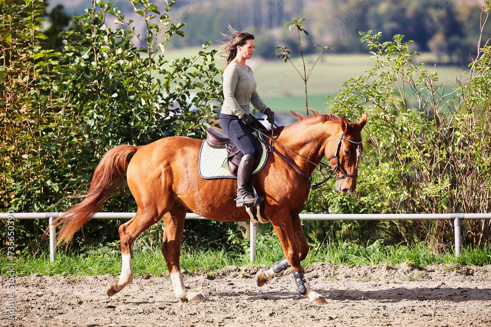 Horse woman rider riding in the sunshine at the riding arena.