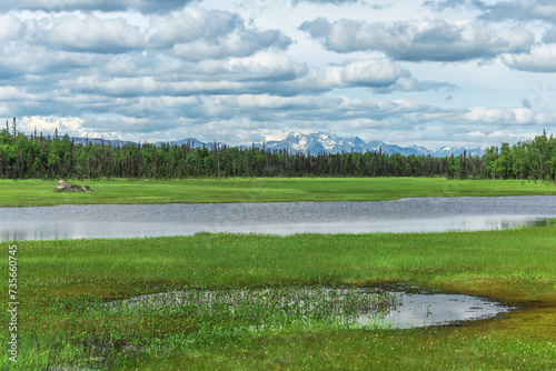 Denali National Park and Preserve,Alaska,United States,North America 